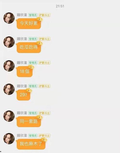 最新娱乐吃瓜网站大全,揭秘娱乐圈最新动态，一网打尽热门八卦！