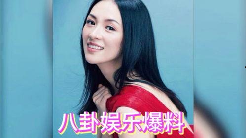 娱乐吃瓜 明星是谁,揭秘当红明星背后的故事