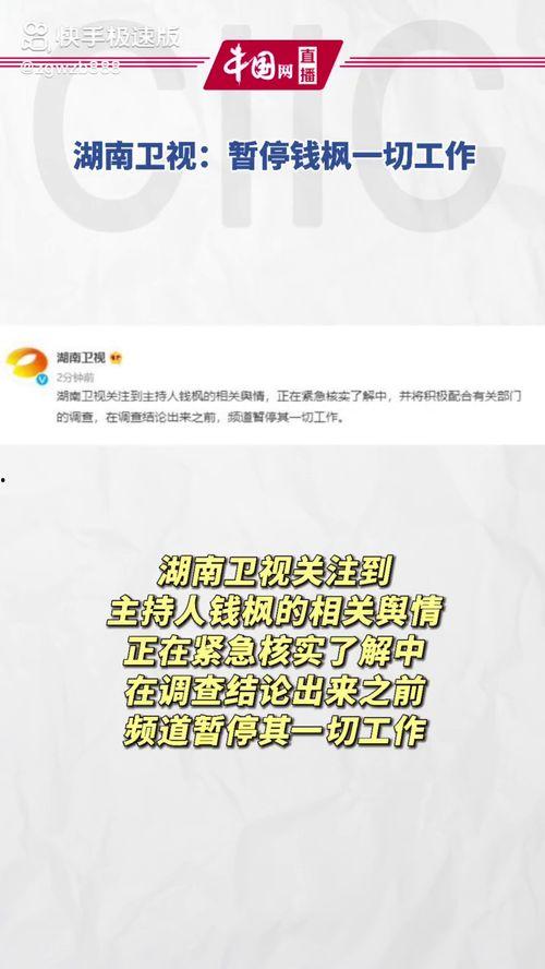 娱乐圈吃瓜暗语,暗语背后的真实故事