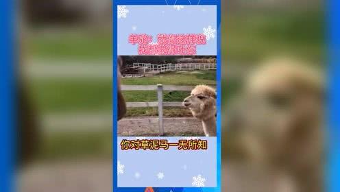 吃瓜群众娱乐微信,揭秘娱乐圈幕后故事，带你领略明星生活点滴