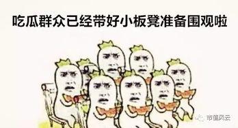 吃瓜群众娱乐小能手,揭秘娱乐圈幕后趣闻