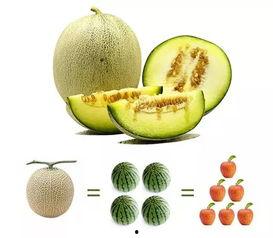 吃一口娱乐瓜,一嘴瓜料，带你领略明星幕后故事