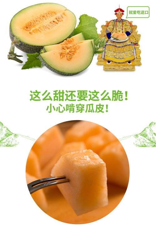 娱乐号吃瓜,吃瓜群众背后的故事