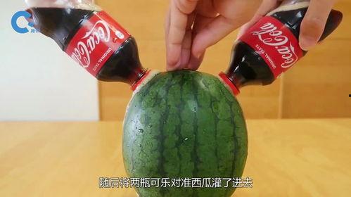 娱乐吃瓜教,吃瓜群众教你如何成为行走的八卦达人