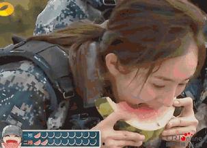 娱乐吃瓜教,吃瓜群众教你如何成为行走的八卦达人