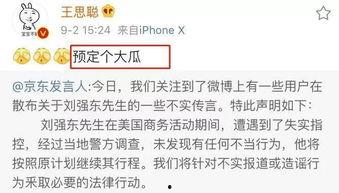 娱乐圈吃瓜论文,揭秘明星背后的真相与八卦