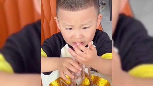 娱乐吃瓜酱小男孩,揭秘娱乐圈背后的故事