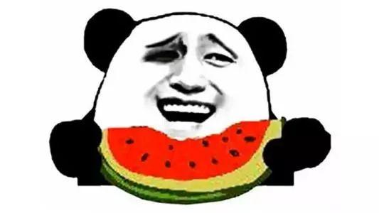 娱乐吃瓜君和七七铲屎官,揭秘娱乐圈与宠物界的趣味故事