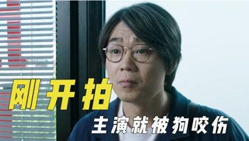 娱乐吃瓜君堂主