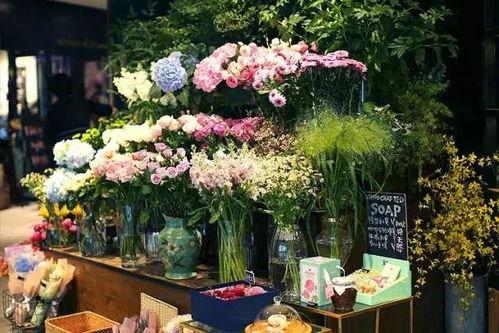 娱乐吃瓜酱花店,吃瓜酱花店背后的秘密花园