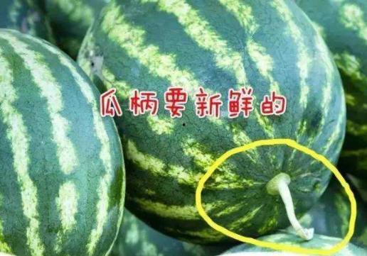 娱乐吃瓜和导演吃瓜区别,揭秘幕后真相的两种视角