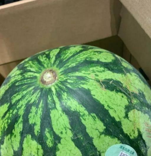 娱乐吃瓜真的假的,真假难辨，揭秘明星幕后故事